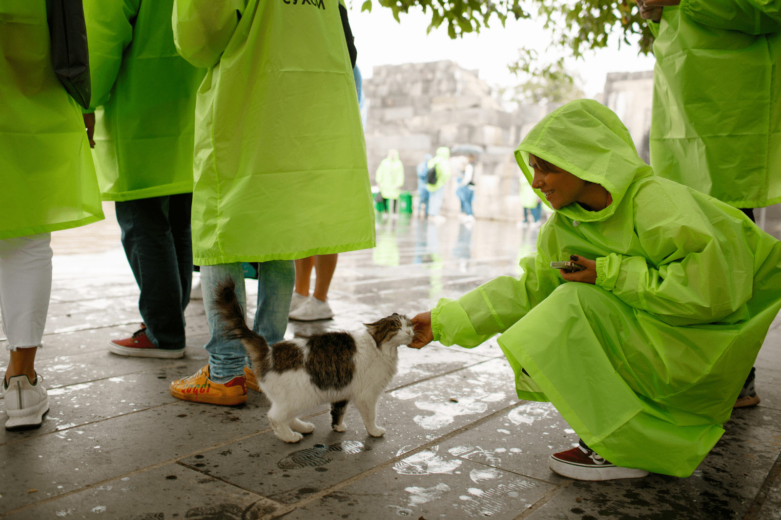 Катерина Хербер-Мосяга, Go Influence